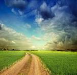 Page Using Block Images 1 1